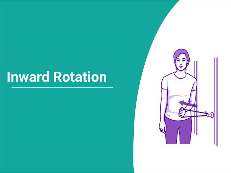 Inward Rotation