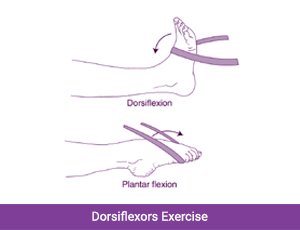 Dorsiflexors exercise