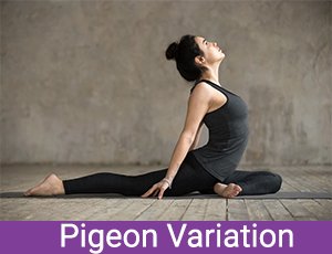 Pigeon variation